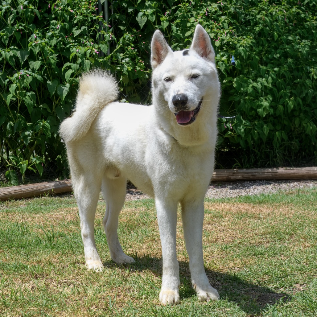 Photo of Kodah