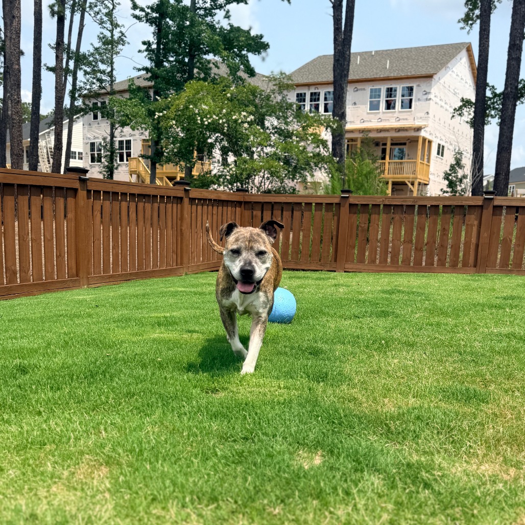 MeeMaw, photo 13