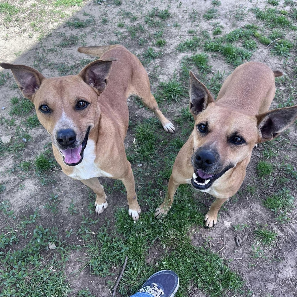 Photo of Cash