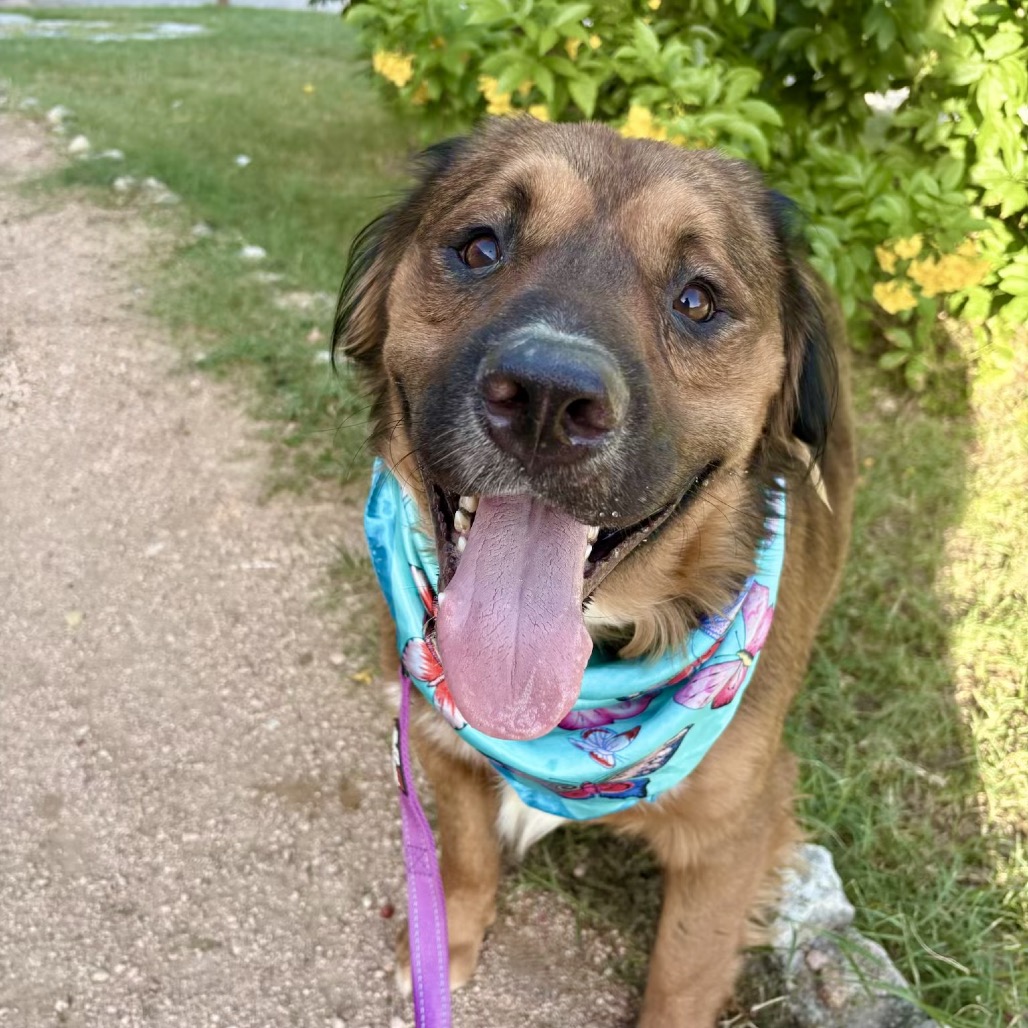 Lane — thumbnail 9