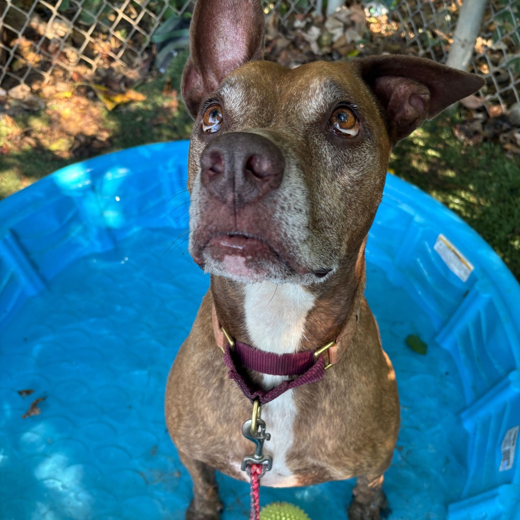 Melon Loaf — thumbnail 9