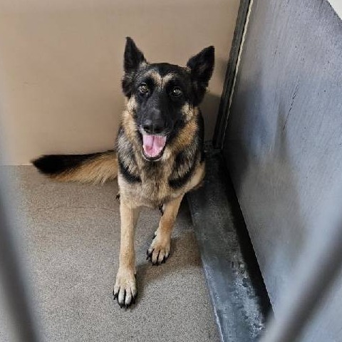 Kennel#7 Lulu's preview photo