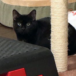 Candy Land — thumbnail 10