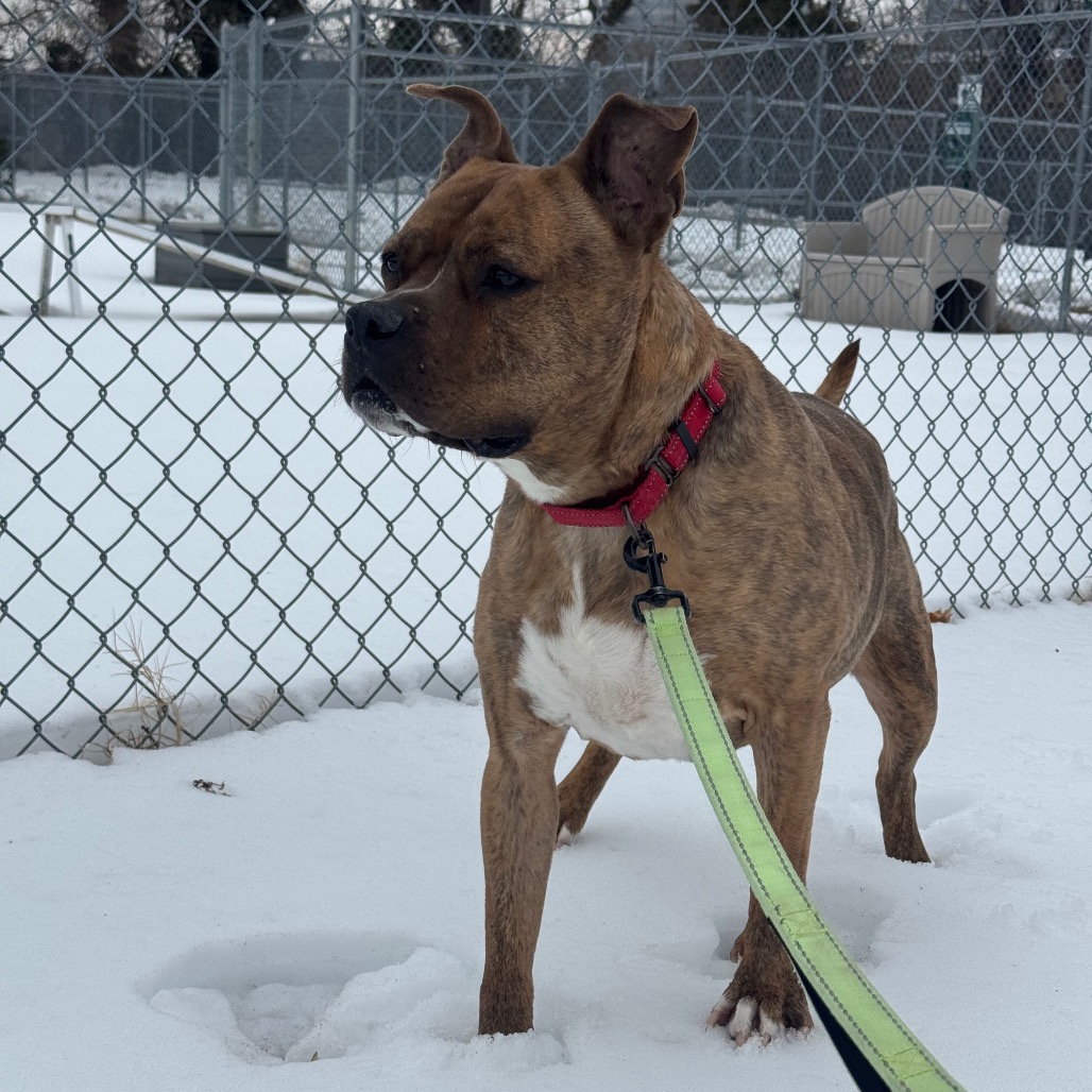 Zeus, additional photo
