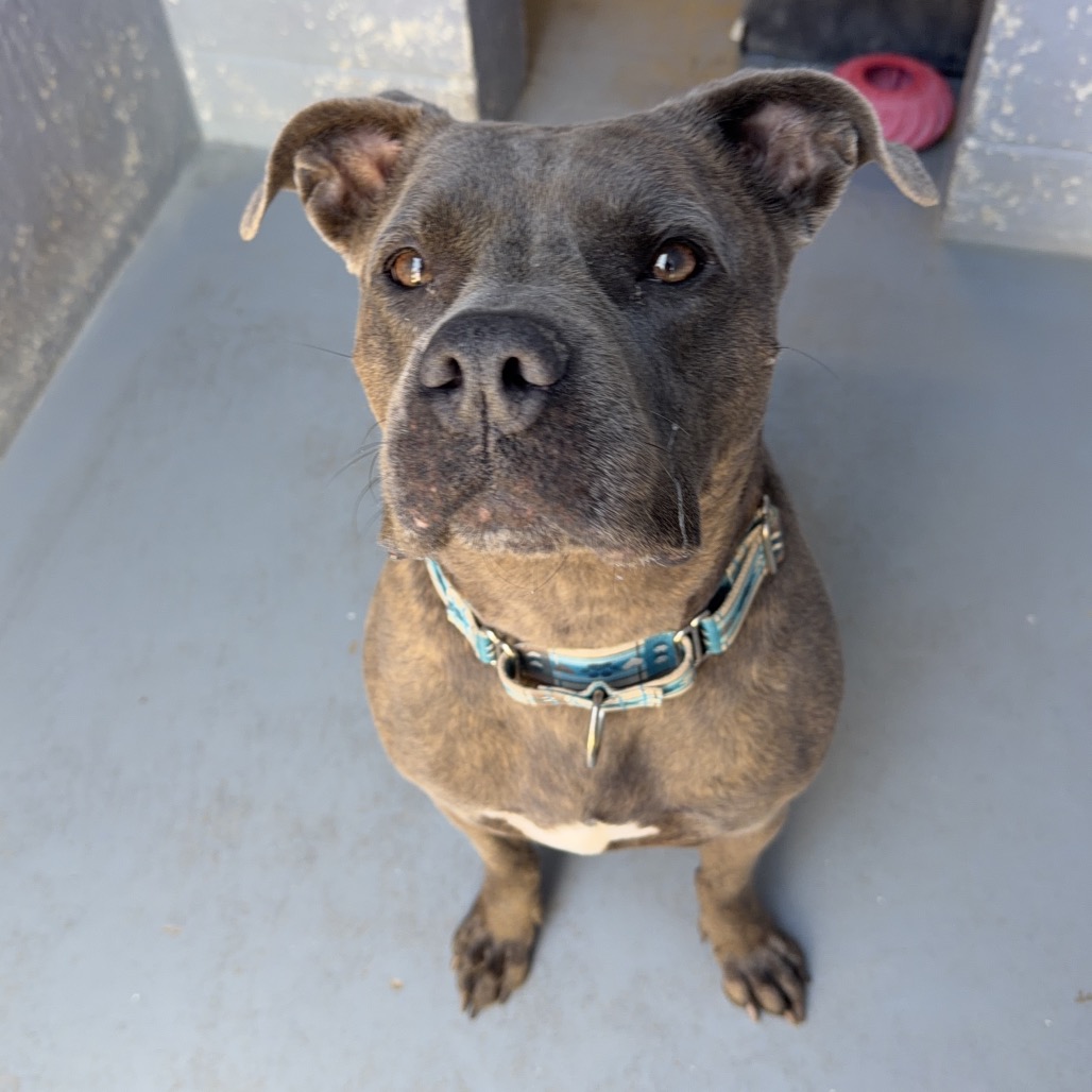 NALA BELL, photo 11