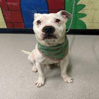 Frosty — thumbnail 3