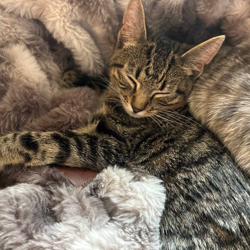 Louise — thumbnail 4