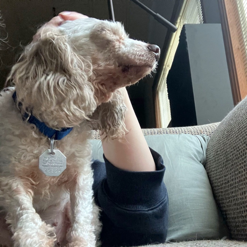 Olivia — thumbnail 5