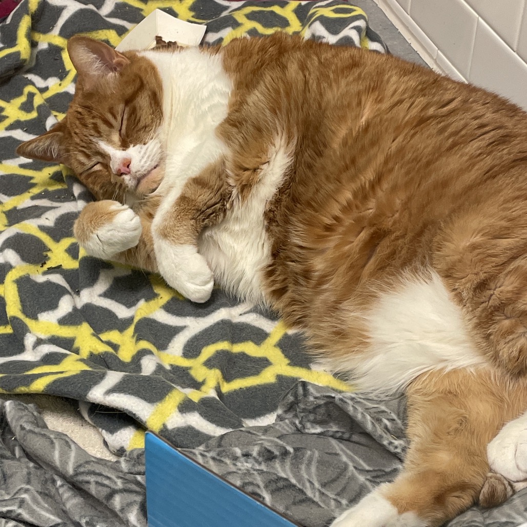 Photo of Freddy and QZ 17