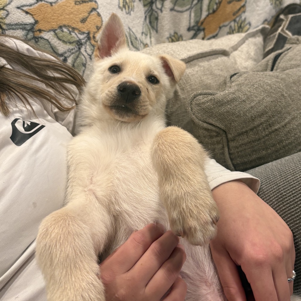 Jelly Jam — thumbnail 5