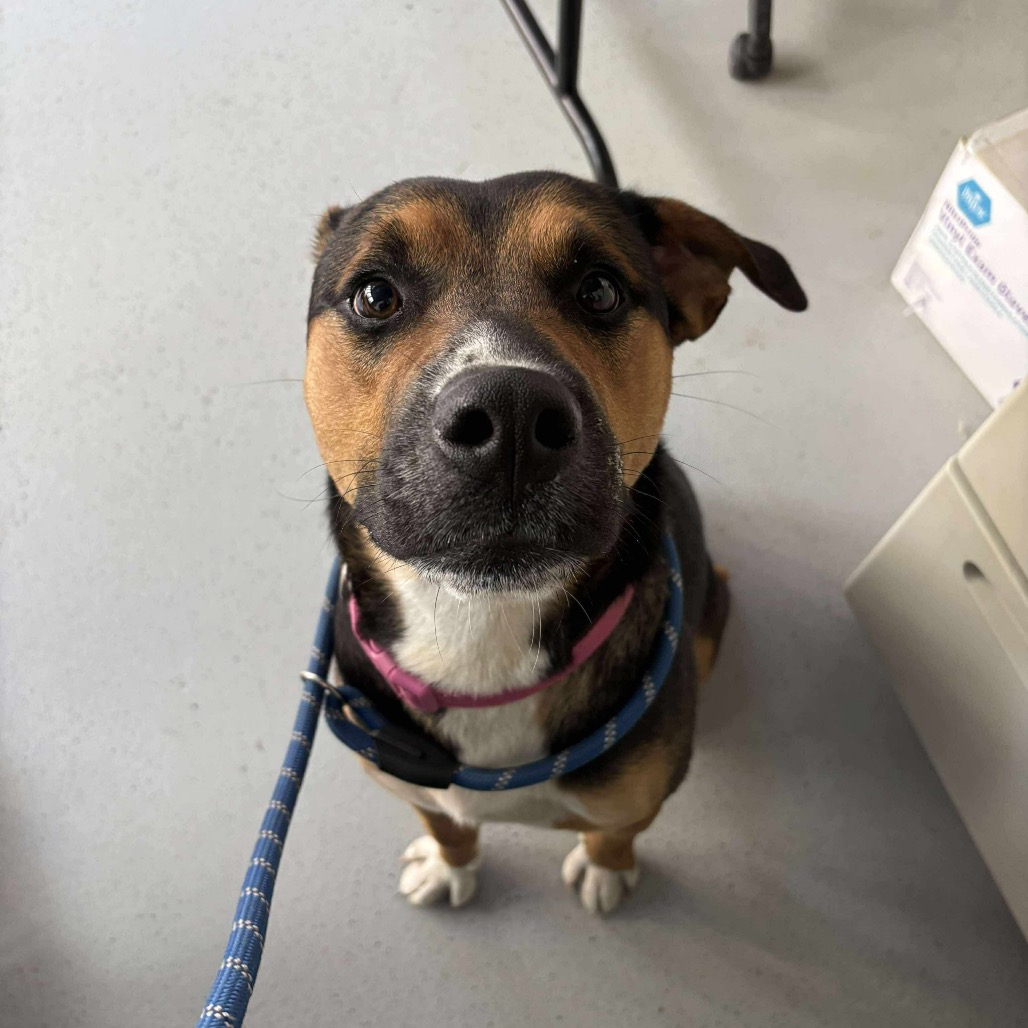 Maximilian — thumbnail 2