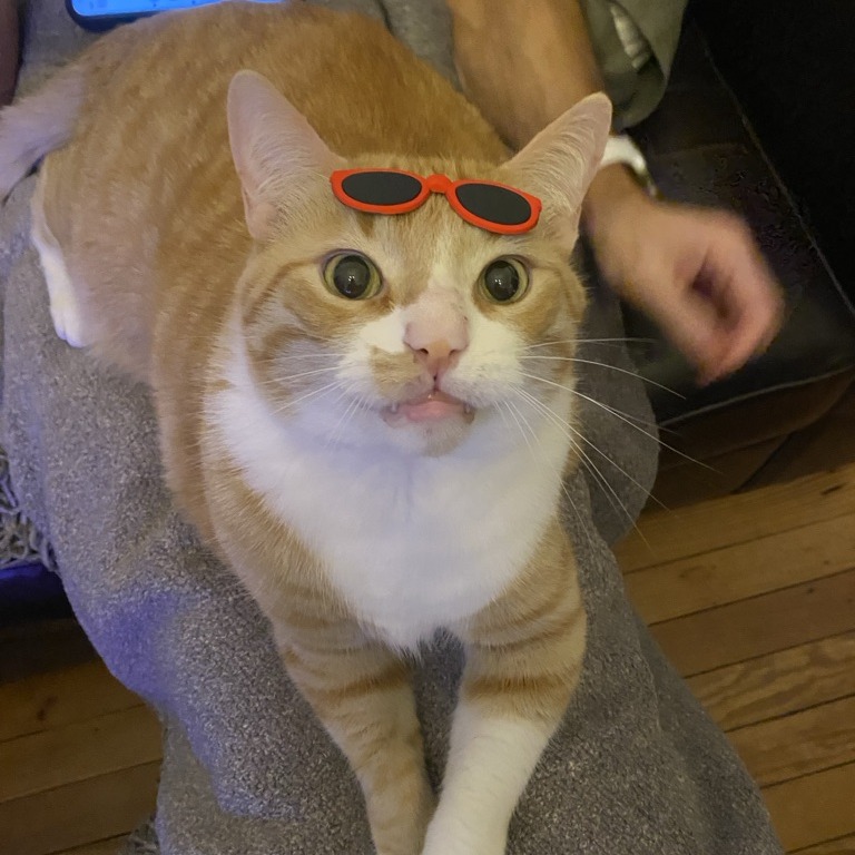 Phoenix — thumbnail 3