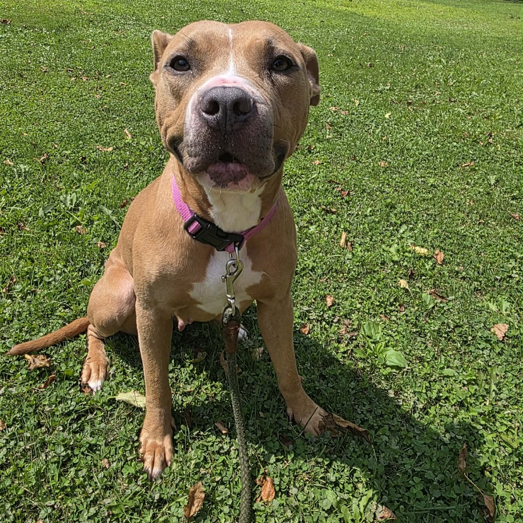 Shiloh, photo 3