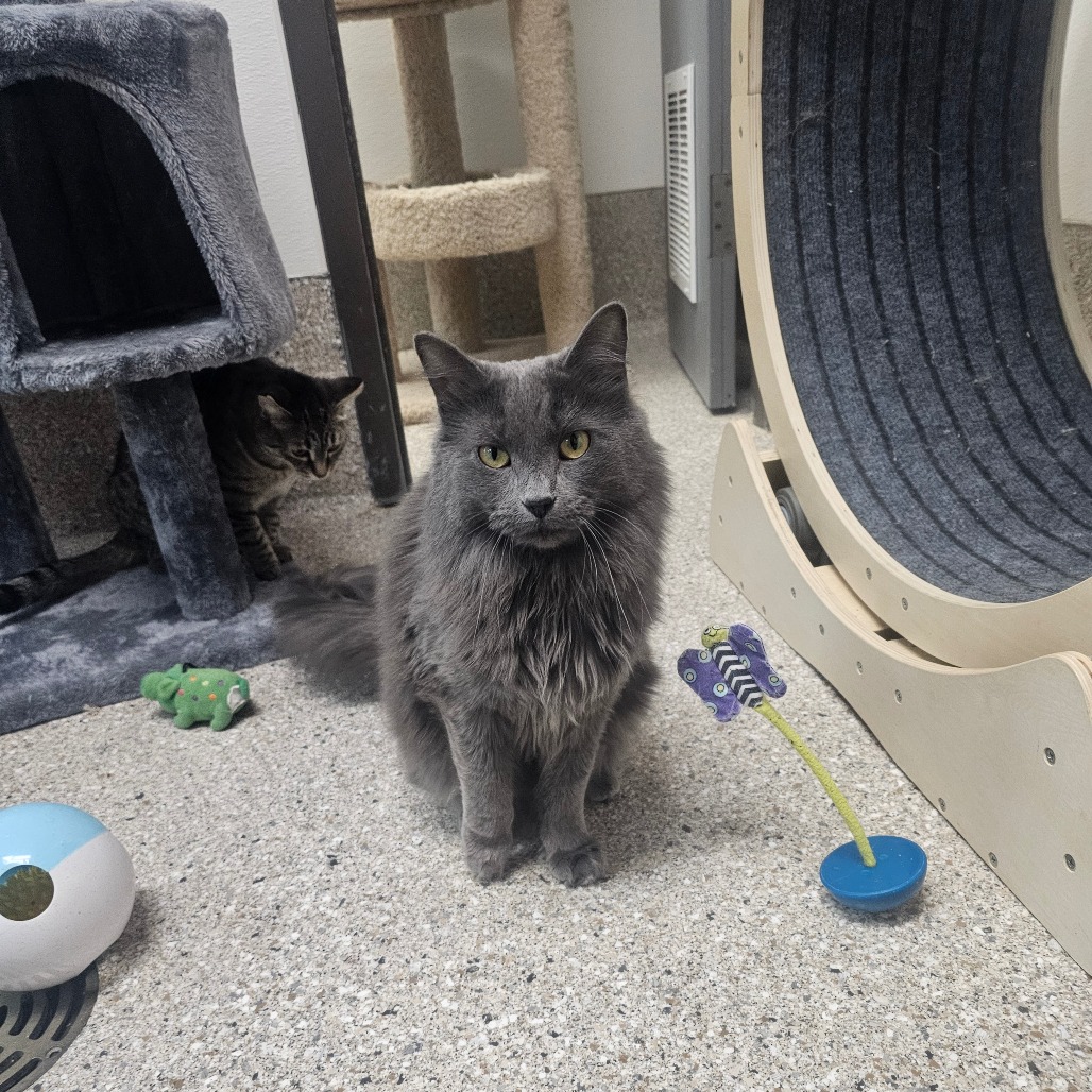 Oona — thumbnail 2