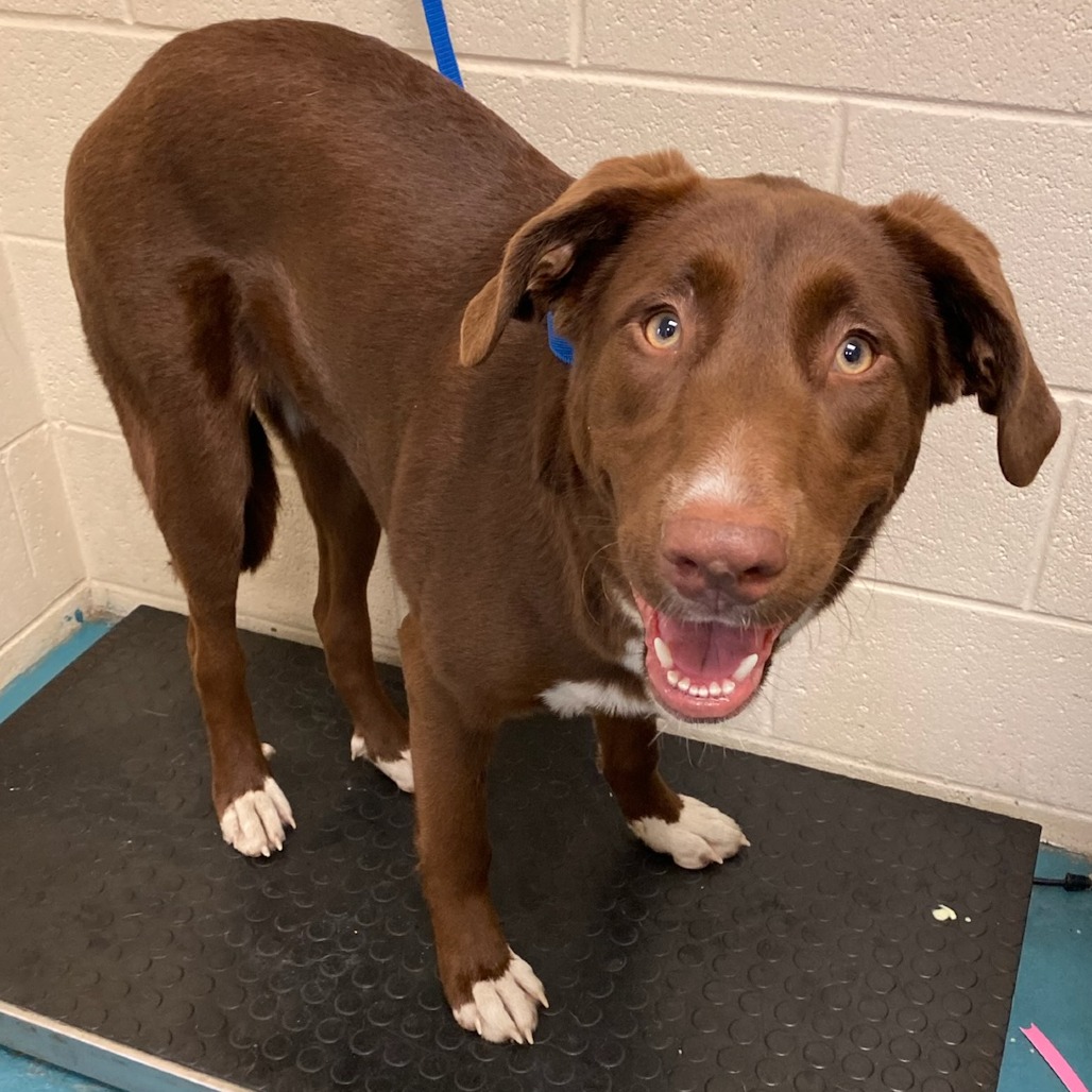 LILLY — thumbnail 2