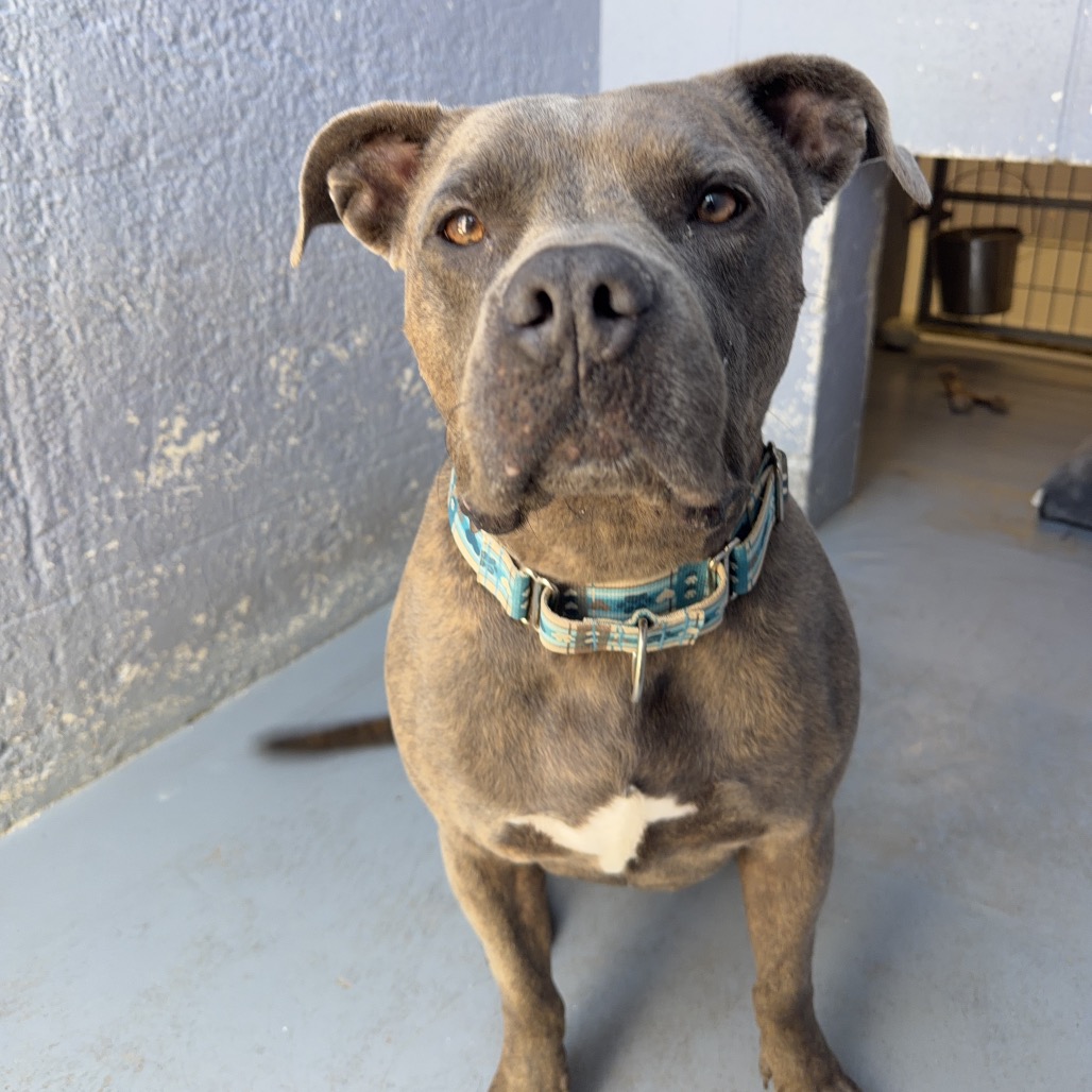 NALA BELL, photo 9
