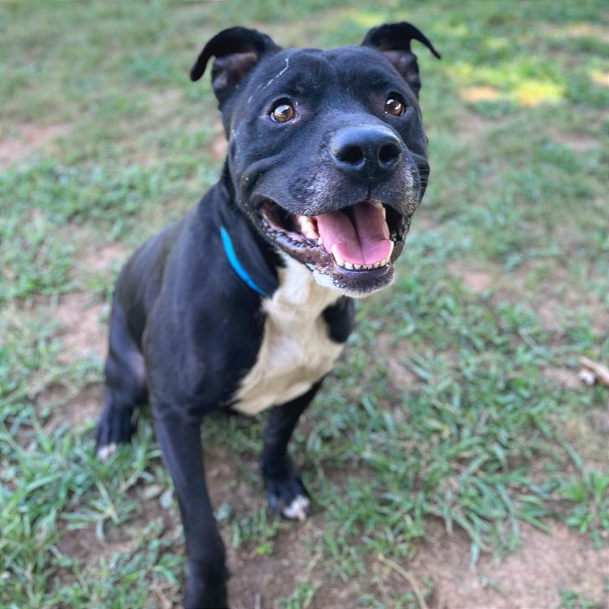 Matteo — thumbnail 5