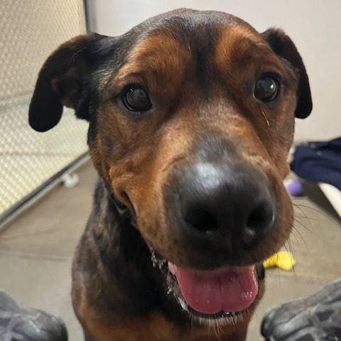 Cutie Pie — thumbnail 2