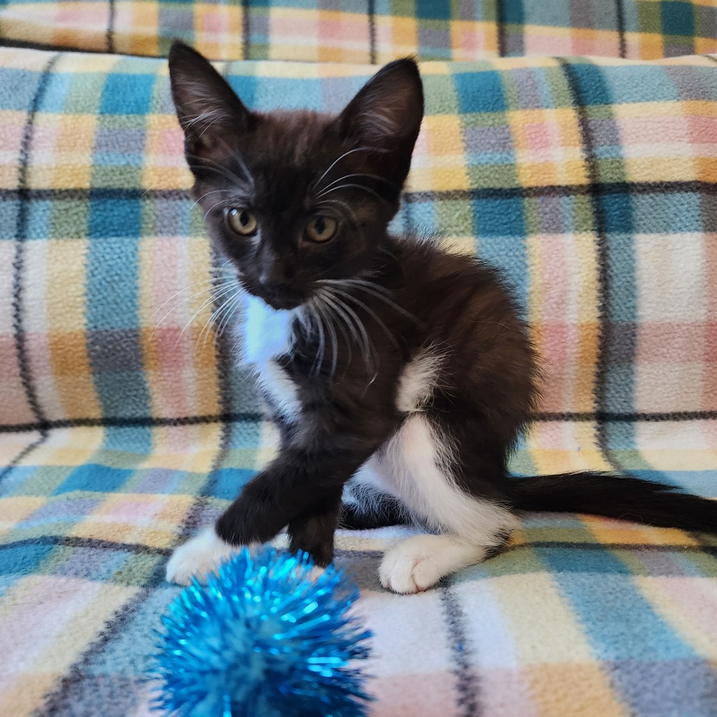 Photo of SYLVIE