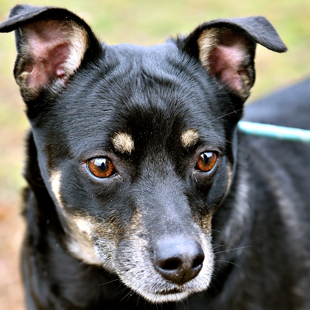 098d47caad6fc440a3607f1ead98ae94