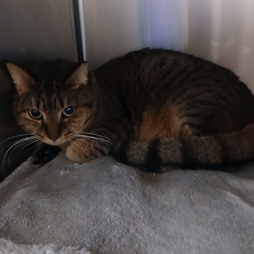 d39fe904f8494ace39d94c724dd00054