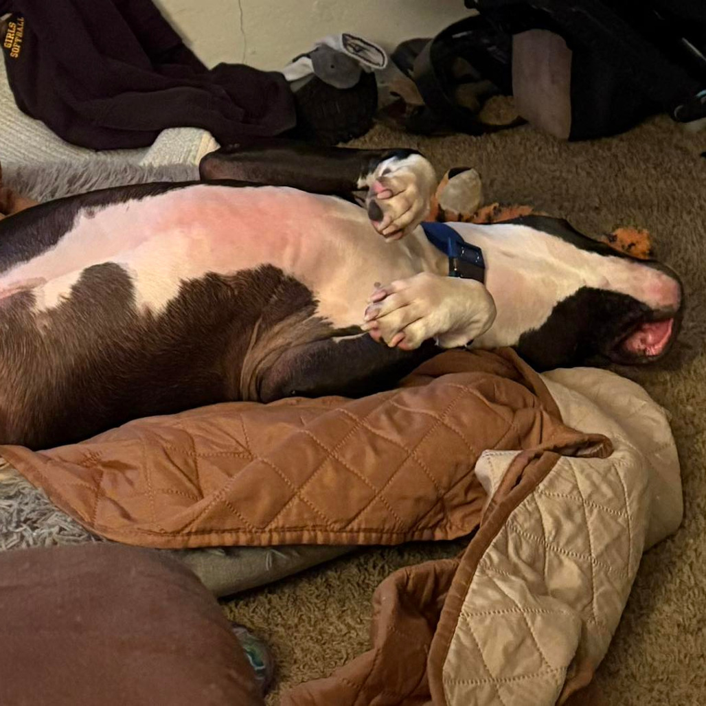 Photo of General Tso 79