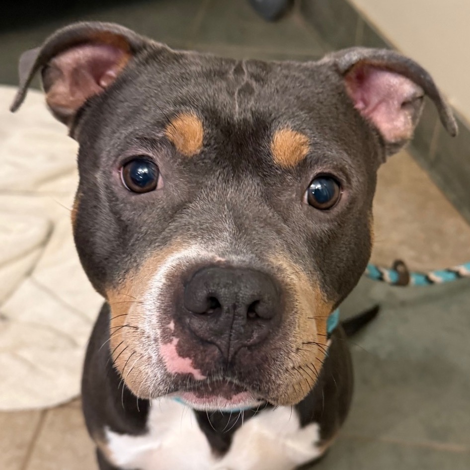 Todo — thumbnail 10