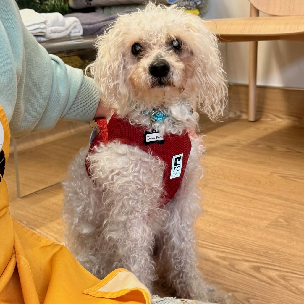 Silverstone 13889 — thumbnail 2