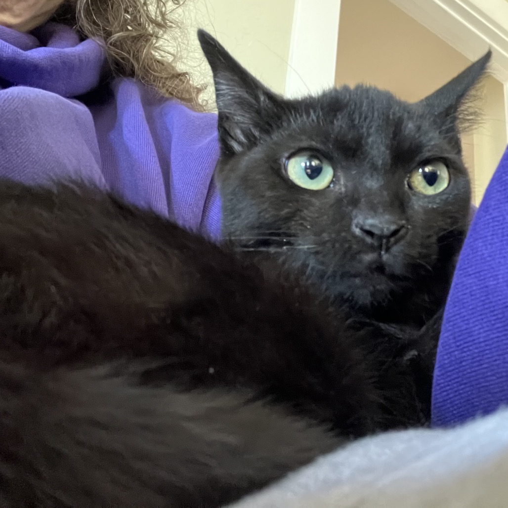 WILBERT, photo 5