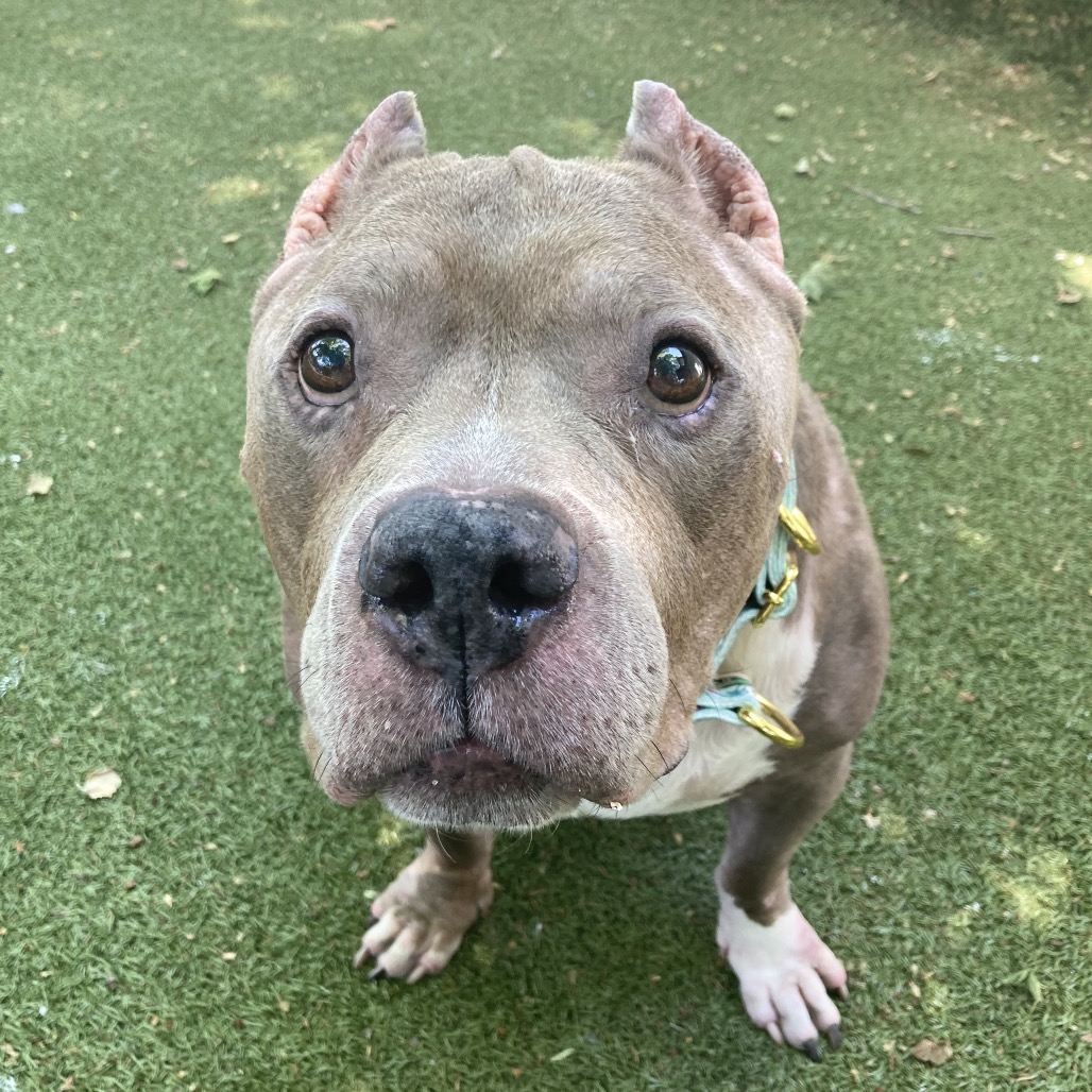 Zeus, additional photo