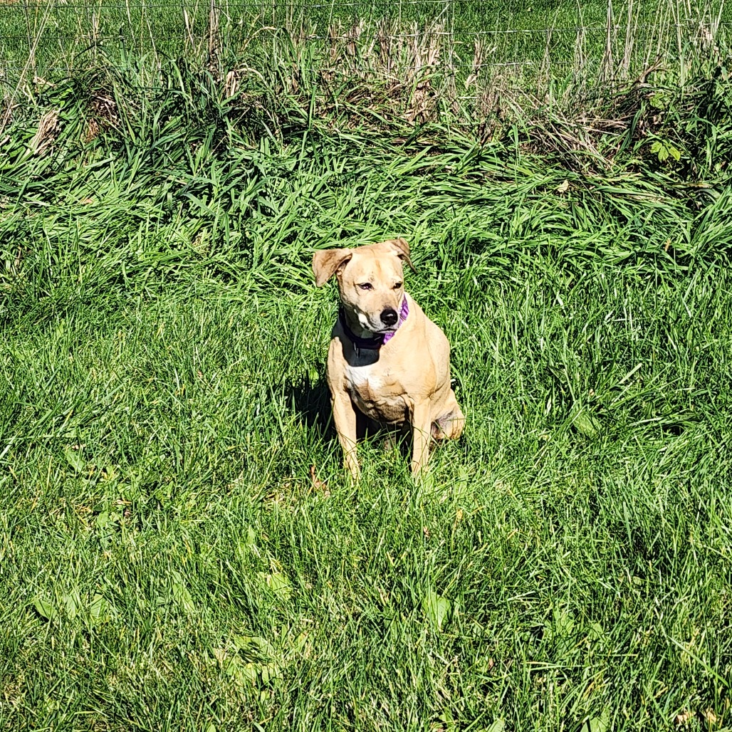 Photo of Buddy 3