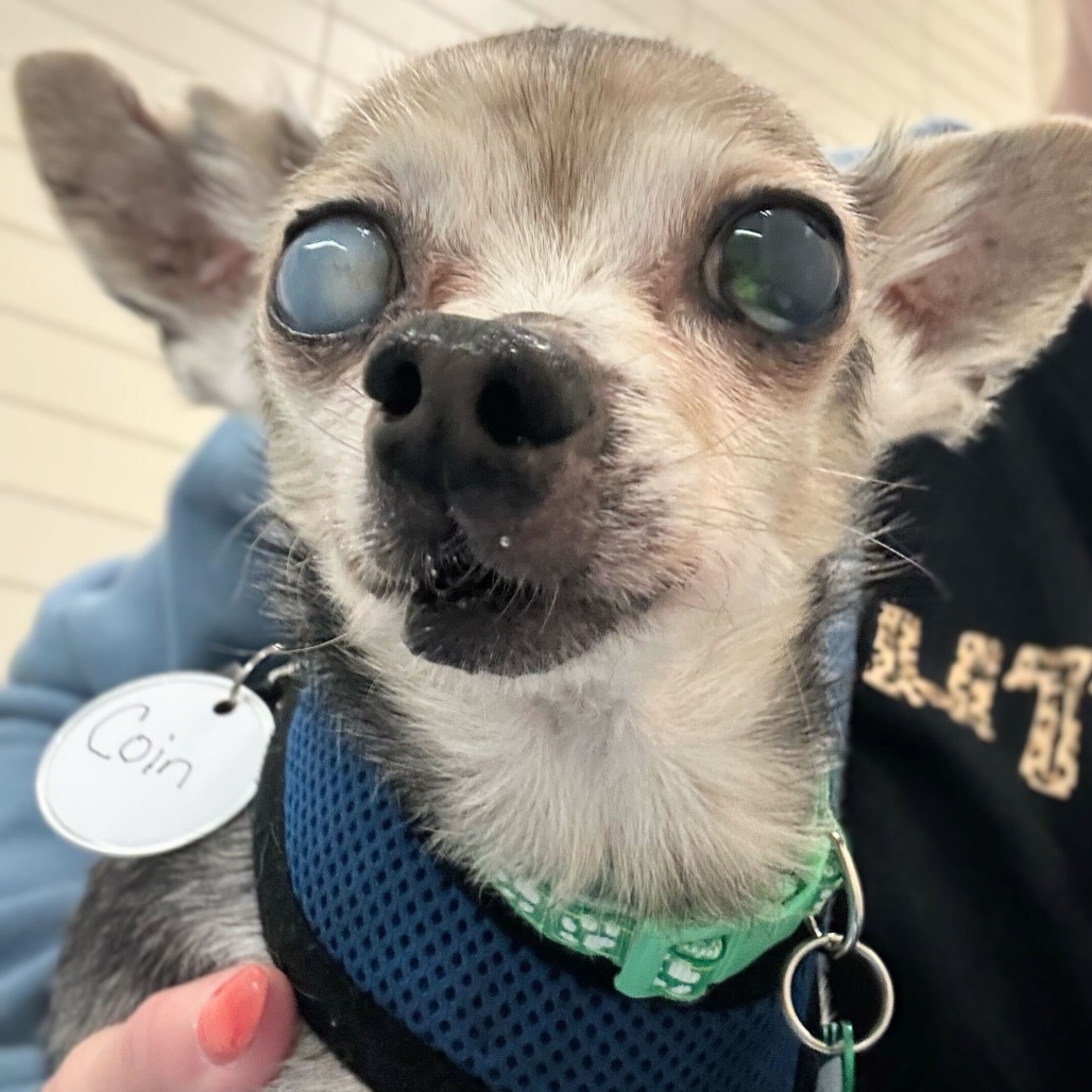 Coin 13854 — thumbnail 2