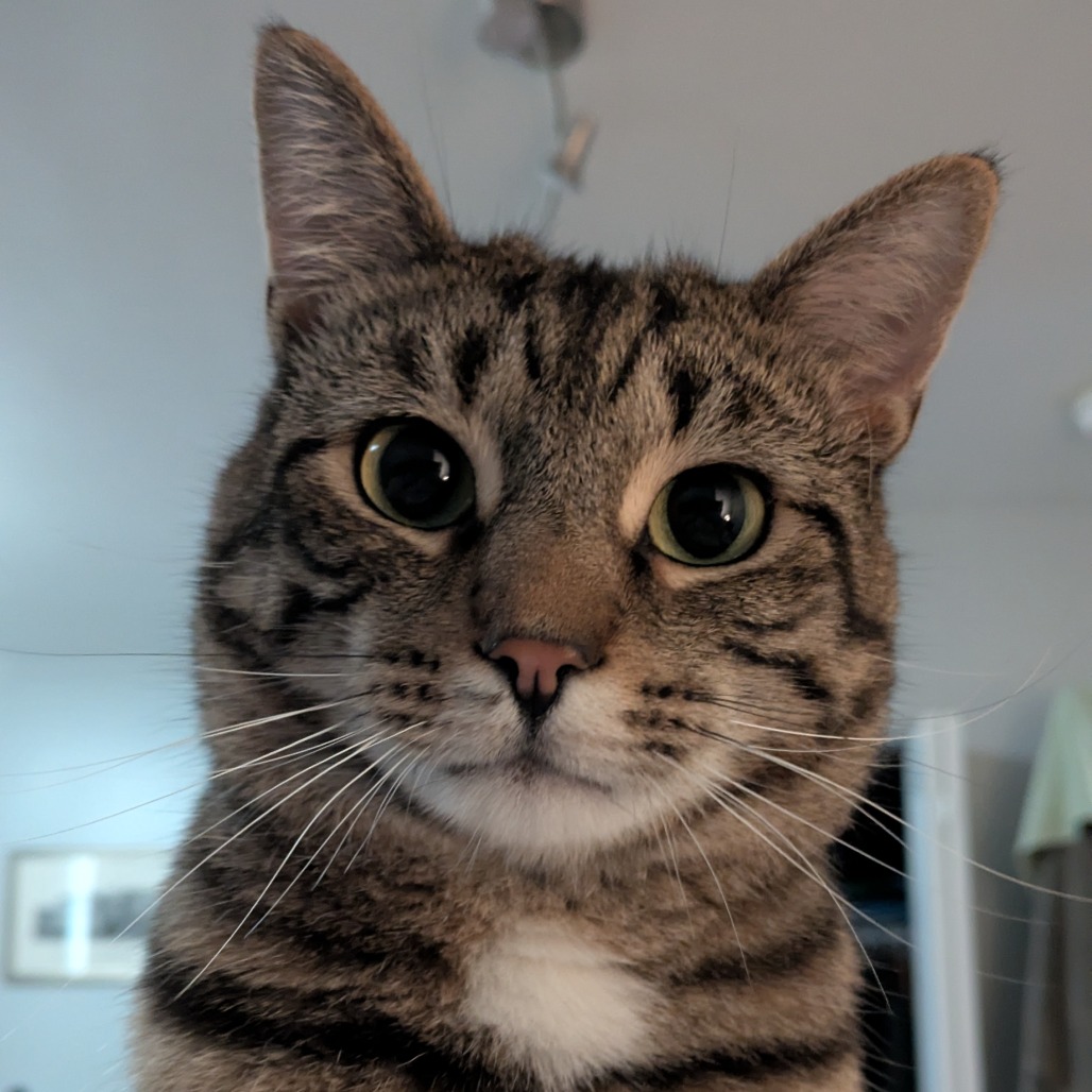 Photo of Dexter