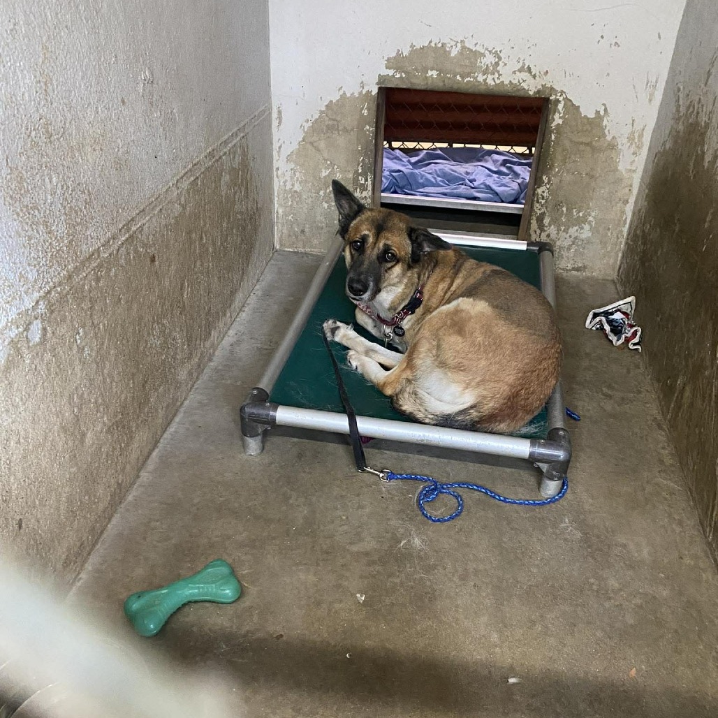 Cheyenne, additional photo