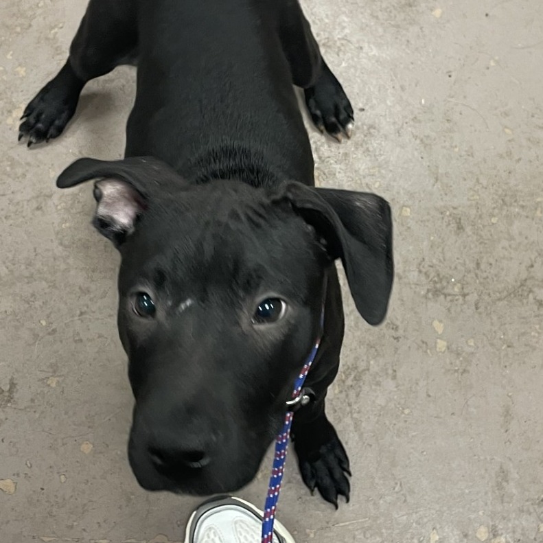 Sundae — thumbnail 2