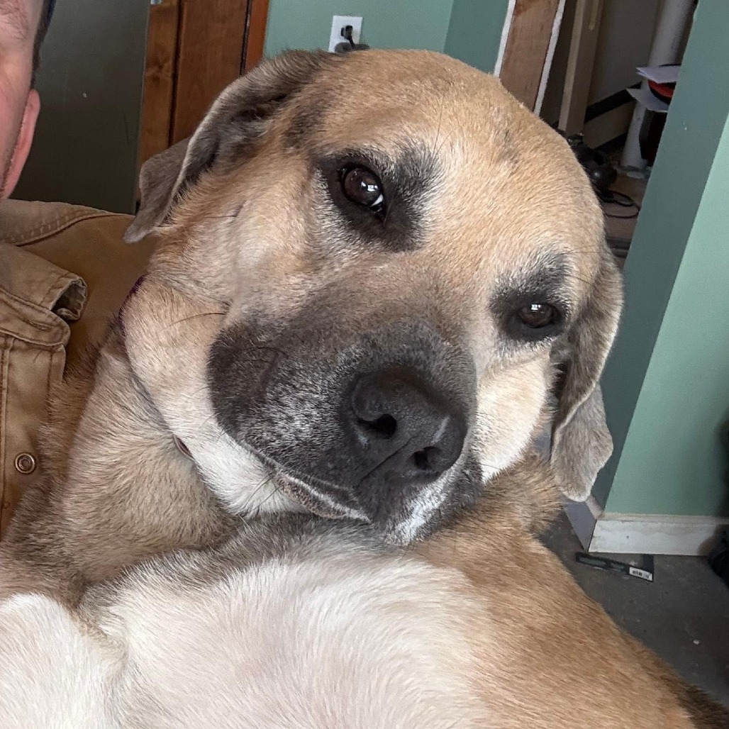 Dan — thumbnail 11