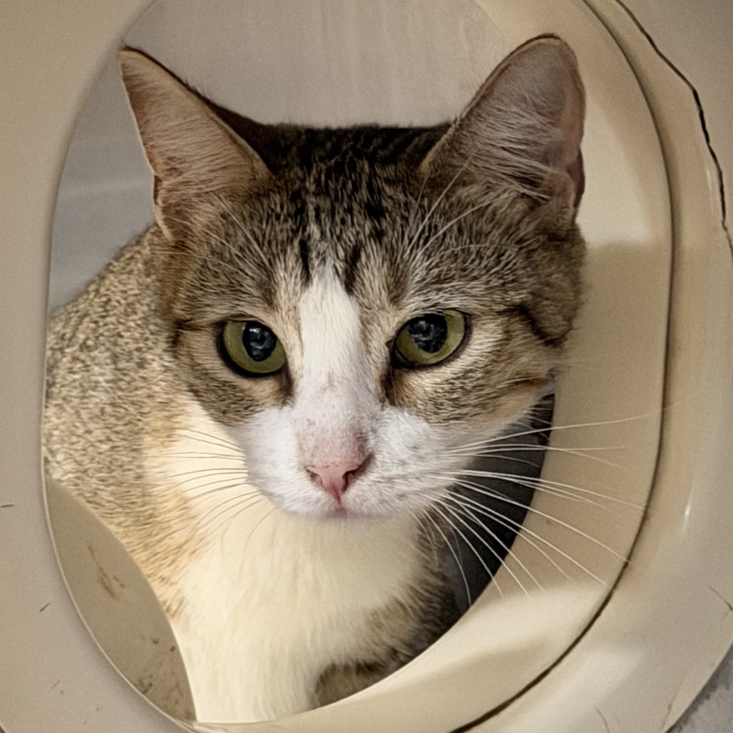 Dear April — thumbnail 6