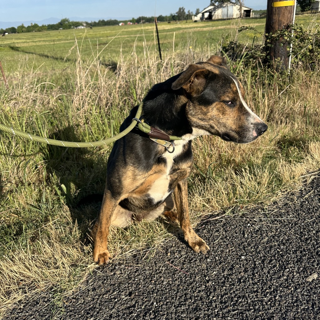 Marley — thumbnail 5