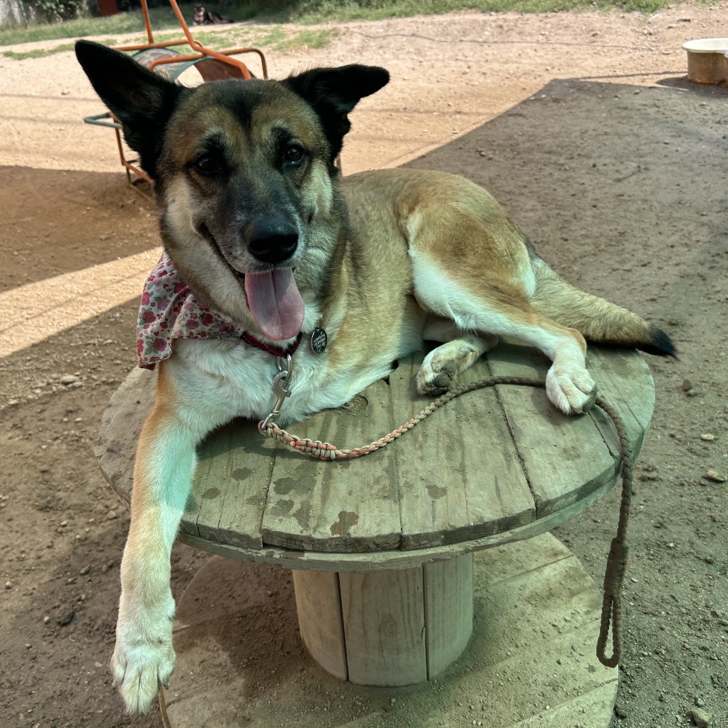 Cheyenne, additional photo