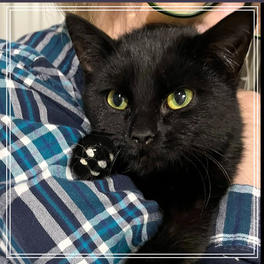 Salem