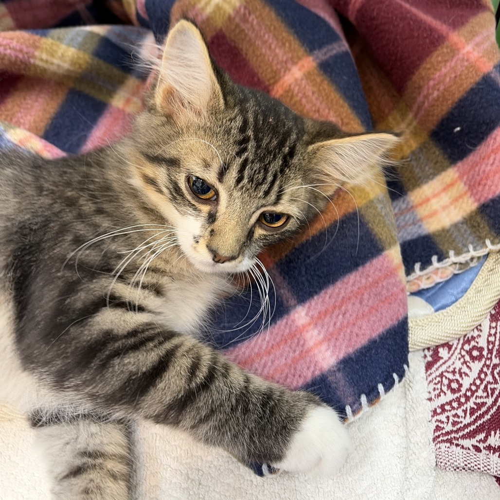 Photo of MINARA