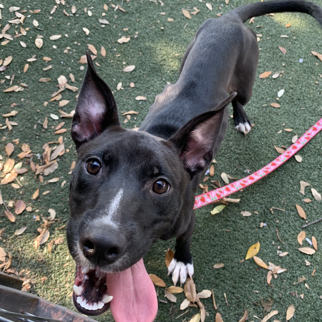 Keke — thumbnail 10