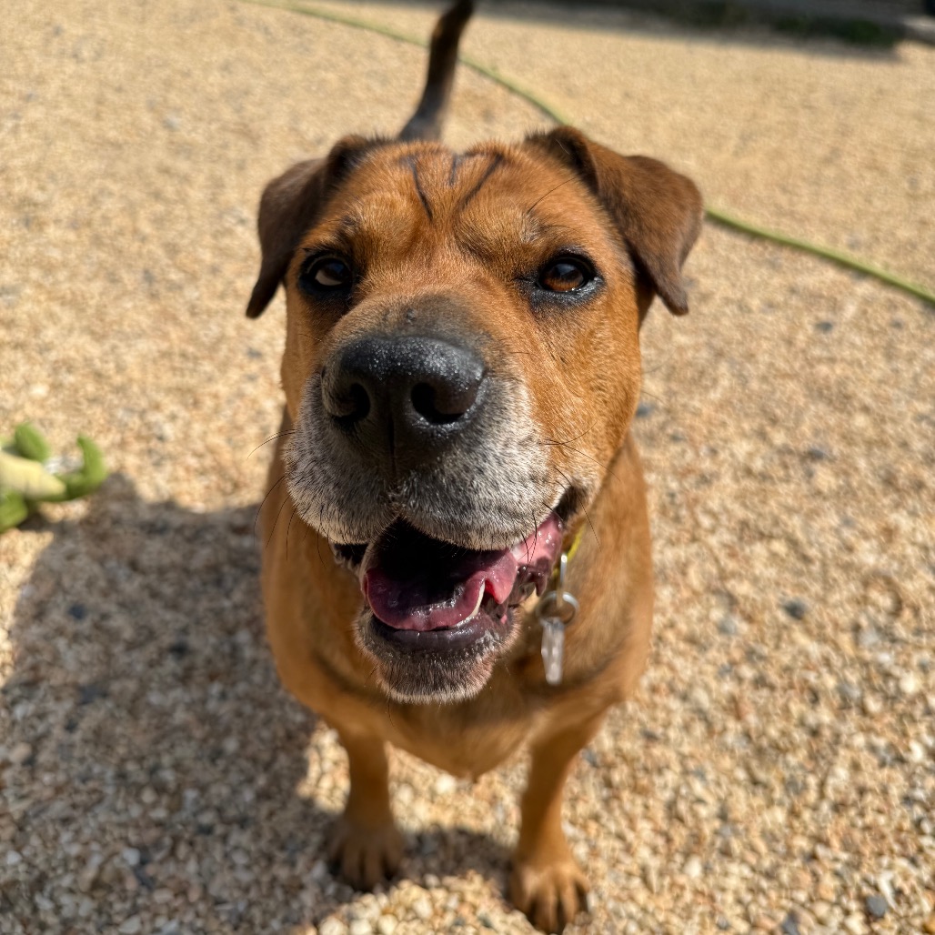 Zoey, photo 21