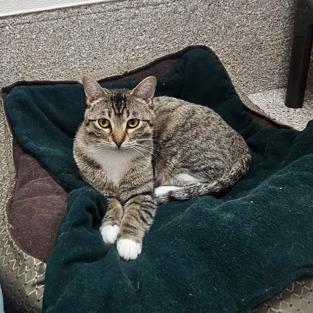 Mavi — thumbnail 5