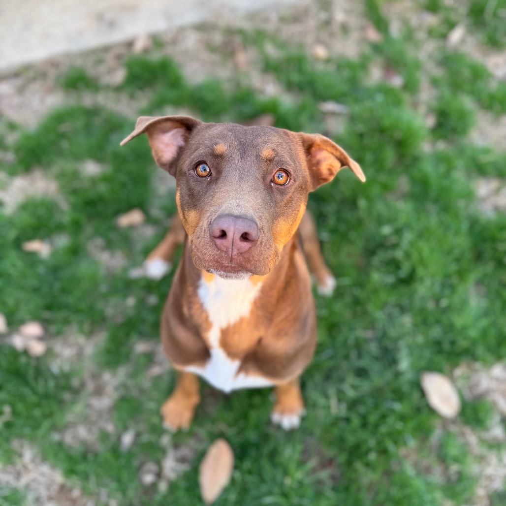 Lexie — thumbnail 3