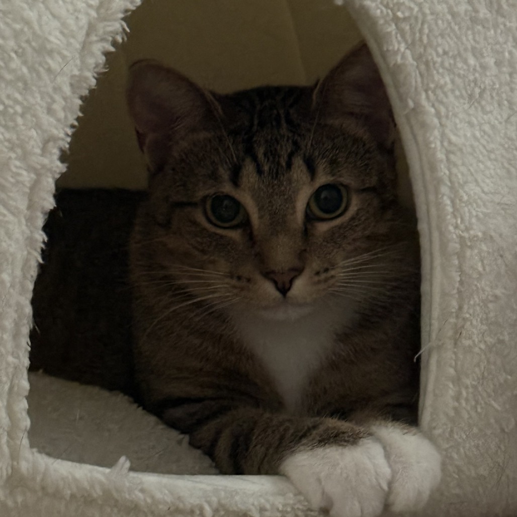 Juliette, photo 7