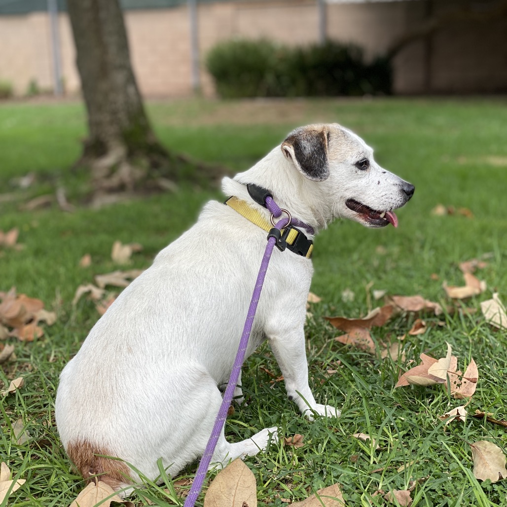 Rory- Costa Mesa Location, photo 13