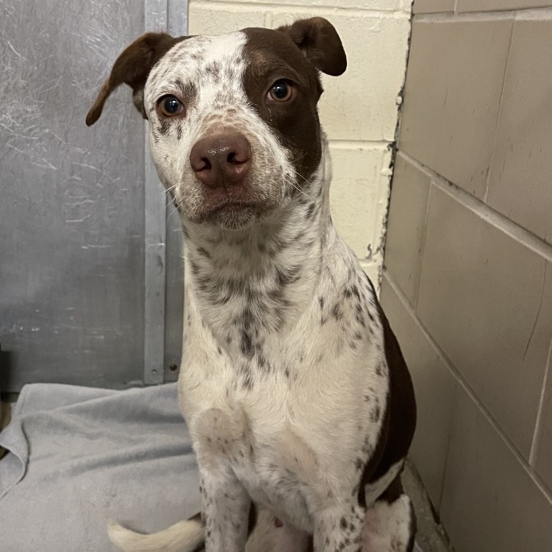 Gayle — thumbnail 2