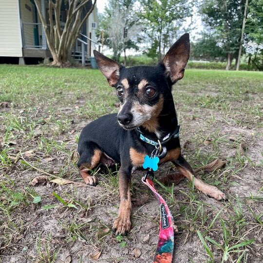 Sista Sue, additional photo