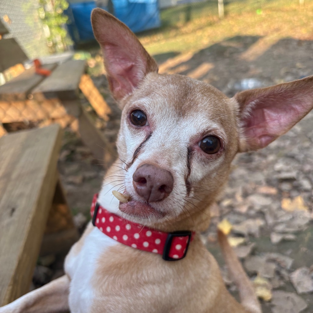 Maximilian-Foster — thumbnail 3